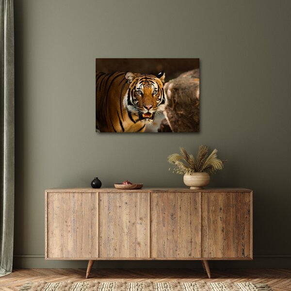 Slika tigra (70x50 cm)