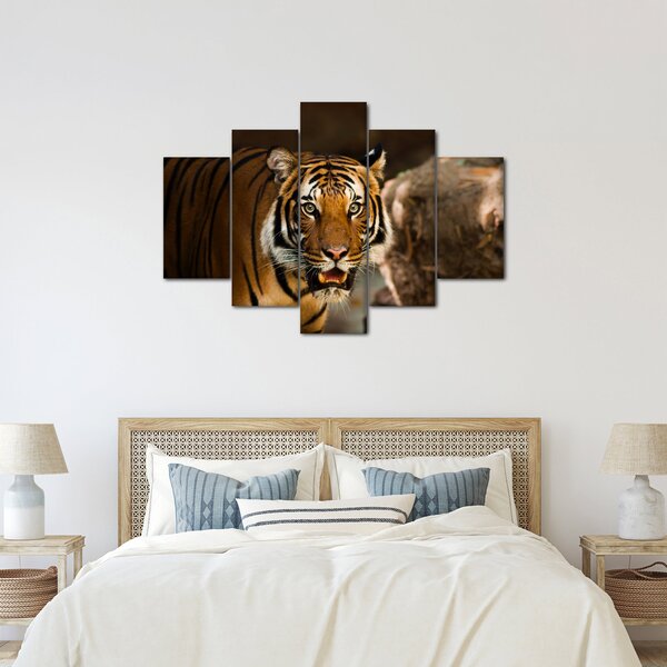Slika tigra (150x105 cm)