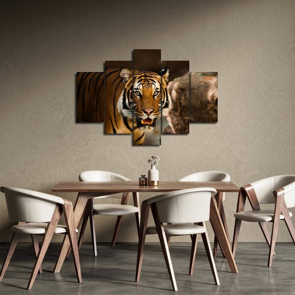 Slika tigra (150x105 cm)