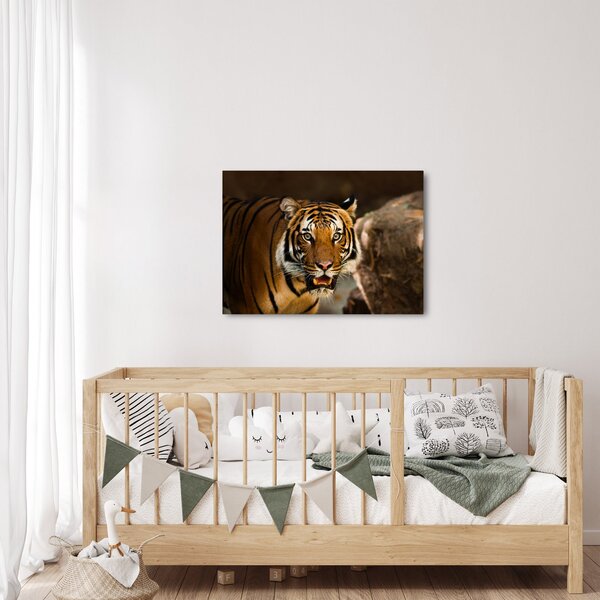 Slika tigra (70x50 cm)