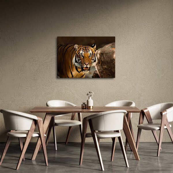 Slika tigra (70x50 cm)