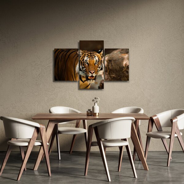 Slika tigra (90x60 cm)