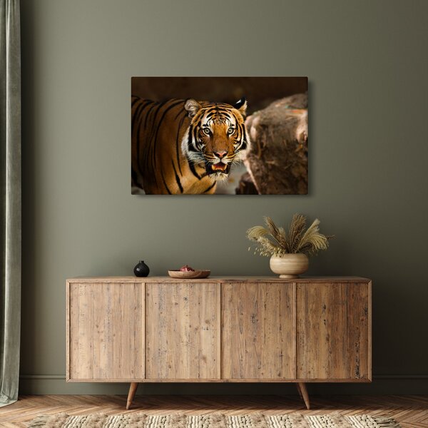 Slika tigra (90x60 cm)