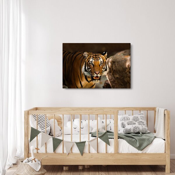 Slika tigra (90x60 cm)