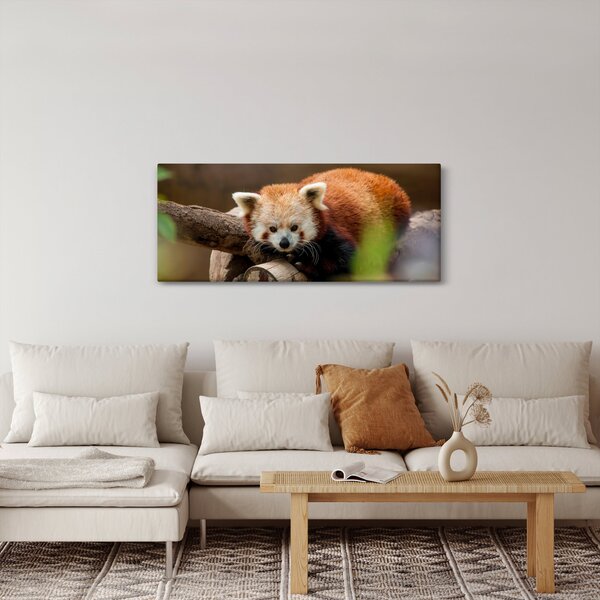 Slika crvene pande (120x50 cm)