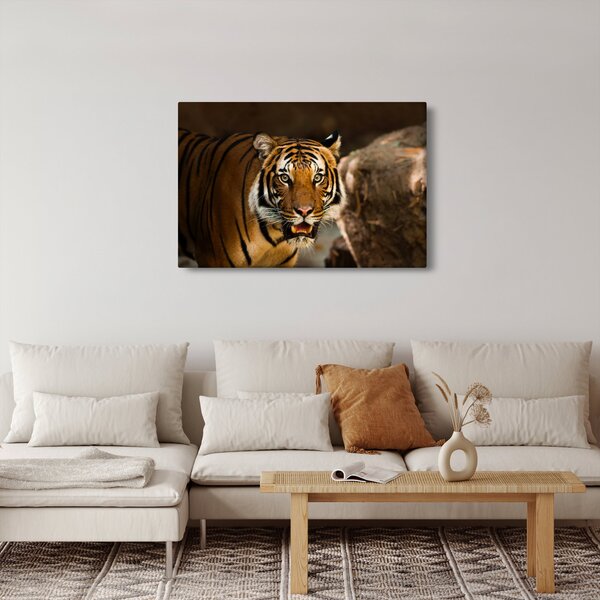 Slika tigra (90x60 cm)