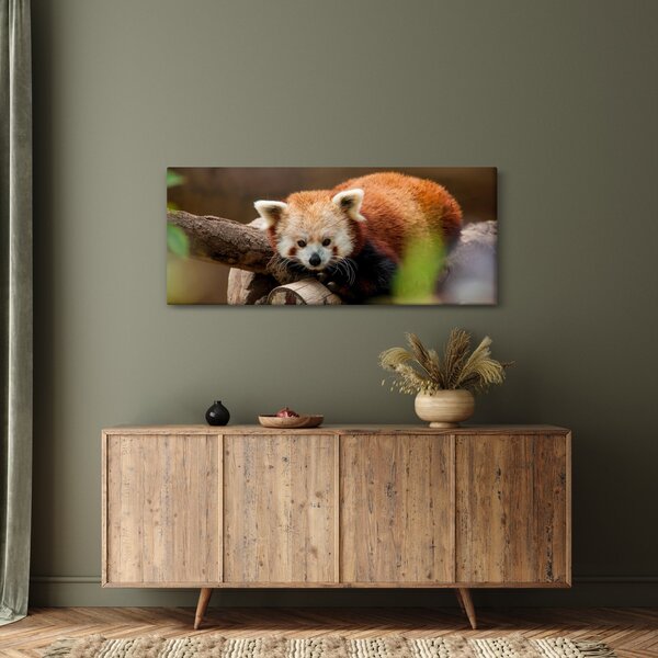 Slika crvene pande (120x50 cm)