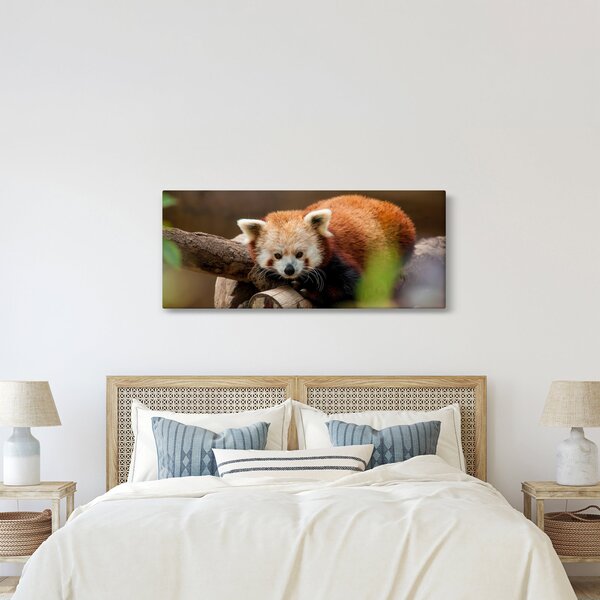Slika crvene pande (120x50 cm)