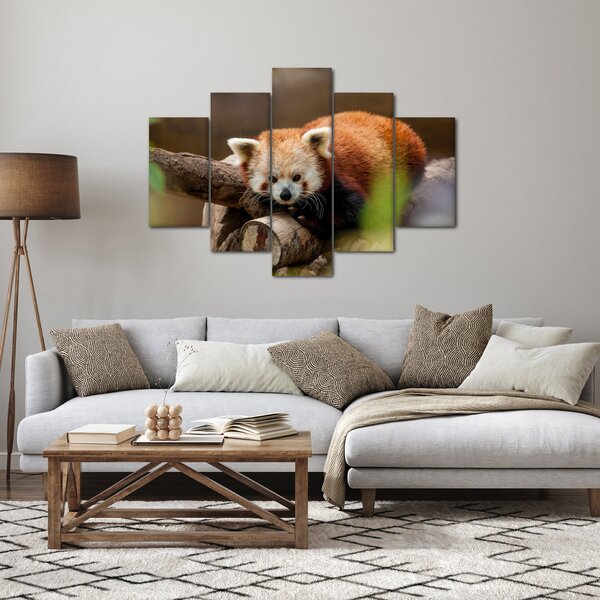 Slika crvene pande (150x105 cm)