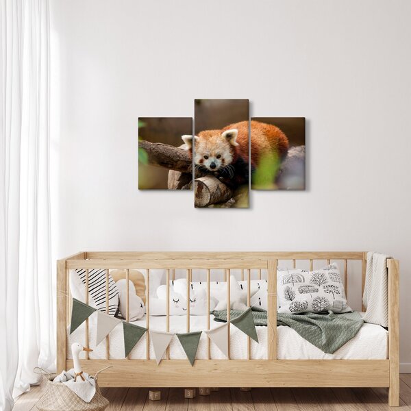 Slika crvene pande (90x60 cm)