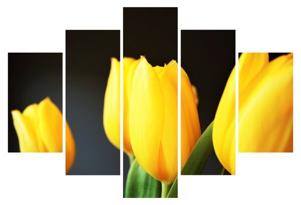 Slika tulipana (150x105 cm)