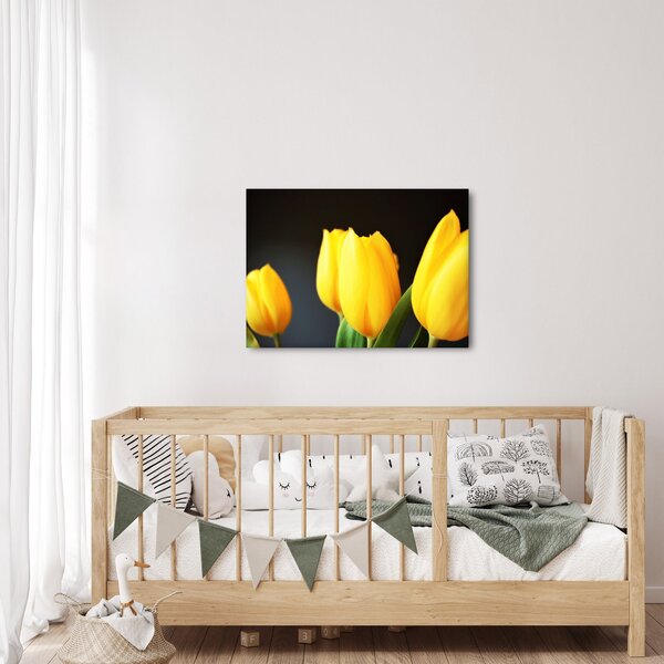 Slika tulipana (70x50 cm)