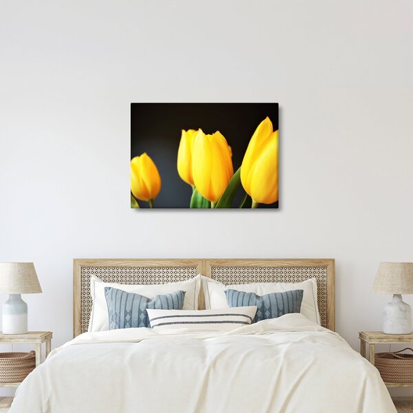 Slika tulipana (70x50 cm)