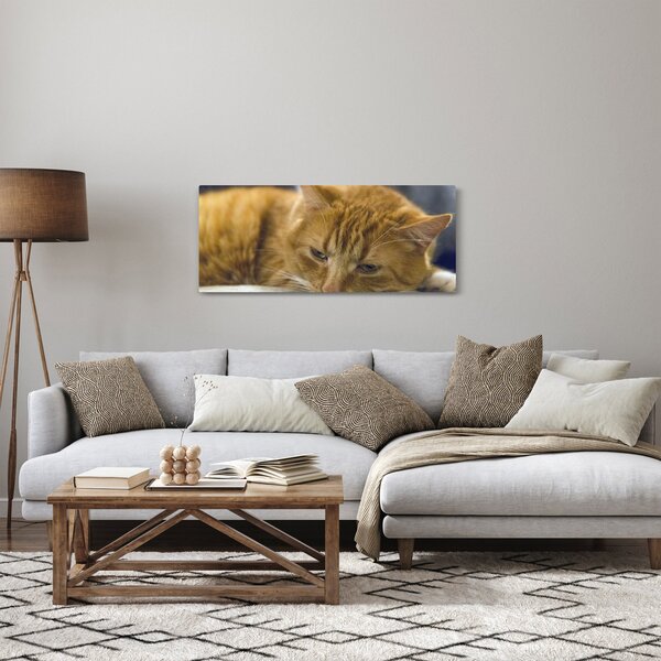 Slika mačke (120x50 cm)