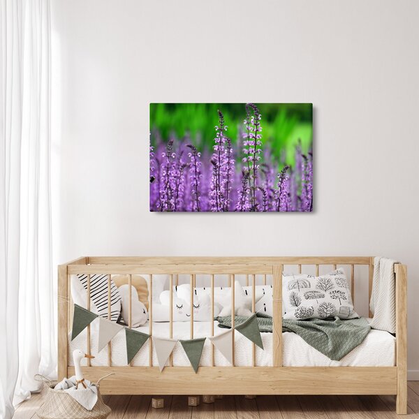 Slika ljubičastog livadskog bilja (90x60 cm)