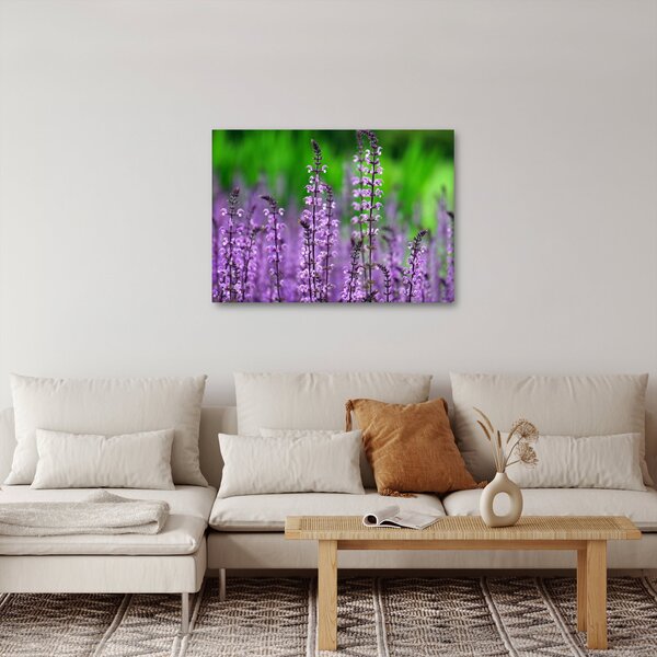 Slika ljubičastog livadskog bilja (70x50 cm)