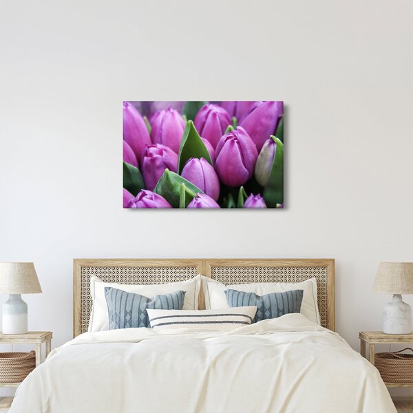 Slika - cvijeće tulipana (90x60 cm)