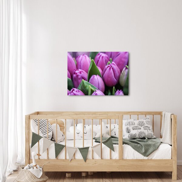 Slika - cvijeće tulipana (70x50 cm)