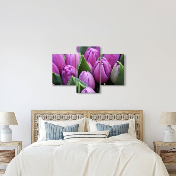 Slika - cvijeće tulipana (90x60 cm)