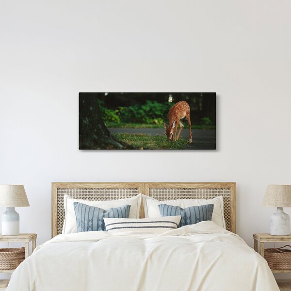 Slika malog laneta (120x50 cm)