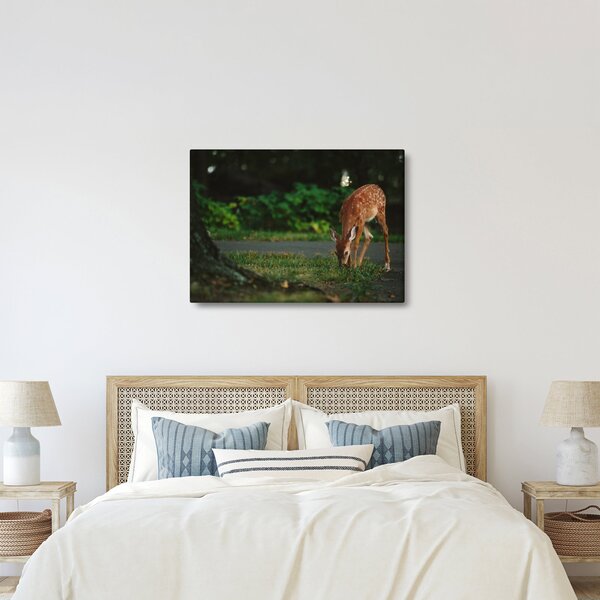 Slika malog laneta (70x50 cm)