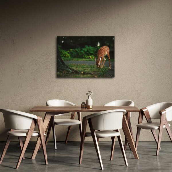Slika malog laneta (70x50 cm)
