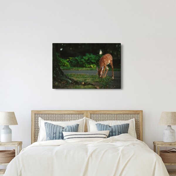 Slika malog laneta (90x60 cm)
