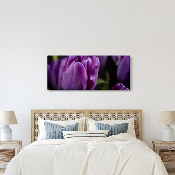 Slika cvjetova tulipana (120x50 cm)