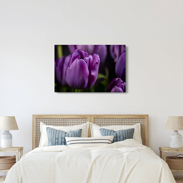 Slika cvjetova tulipana (90x60 cm)