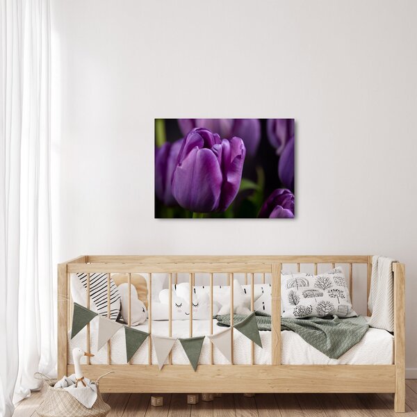 Slika cvjetova tulipana (70x50 cm)