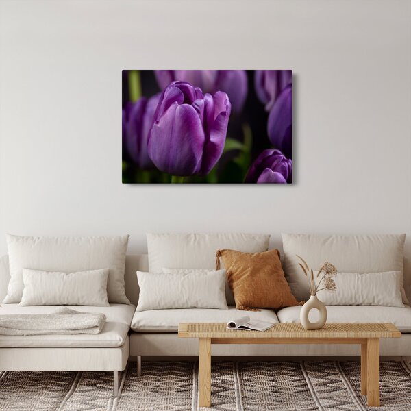 Slika cvjetova tulipana (90x60 cm)