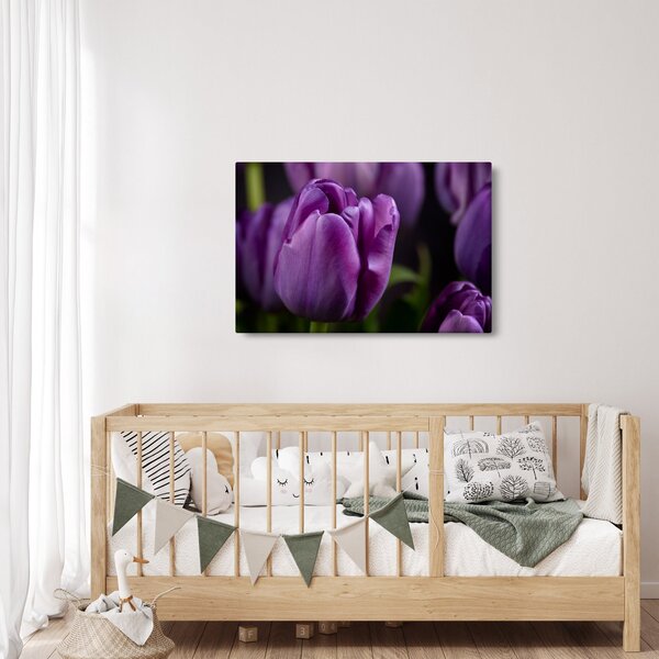 Slika cvjetova tulipana (90x60 cm)