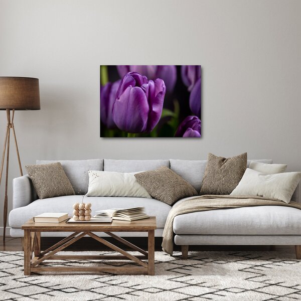 Slika cvjetova tulipana (70x50 cm)