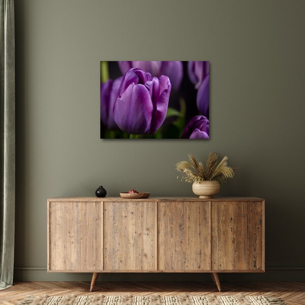 Slika cvjetova tulipana (70x50 cm)