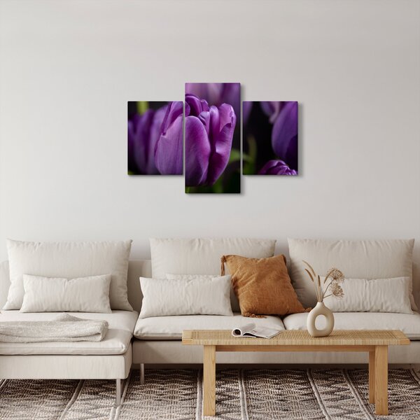 Slika cvjetova tulipana (90x60 cm)