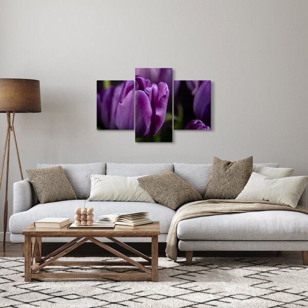 Slika cvjetova tulipana (90x60 cm)