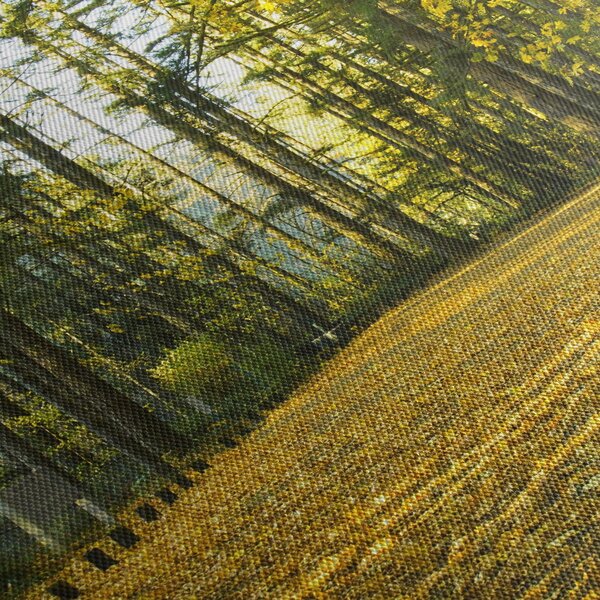 Slika - šuma u jesen (120x50 cm)