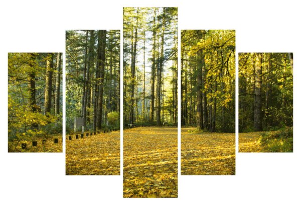 Slika - šuma u jesen (150x105 cm)