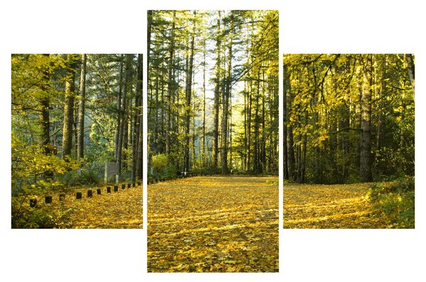 Slika - šuma u jesen (90x60 cm)