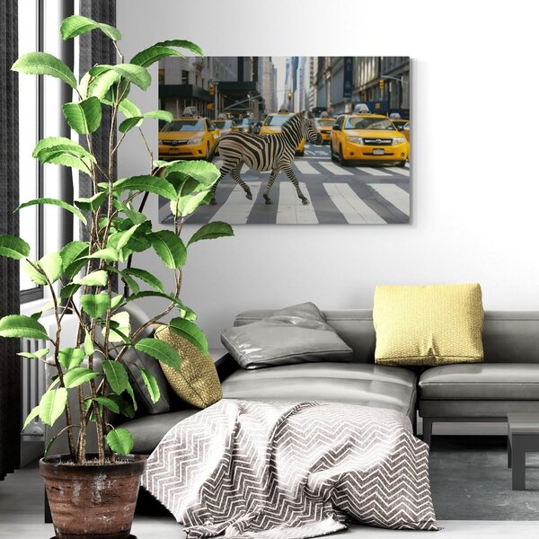 Slika zebre u New Yorku