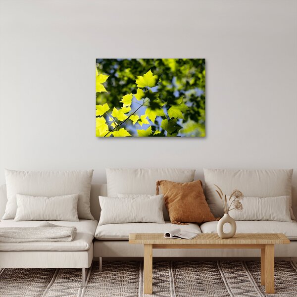 Slika - javorovo lišće (70x50 cm)