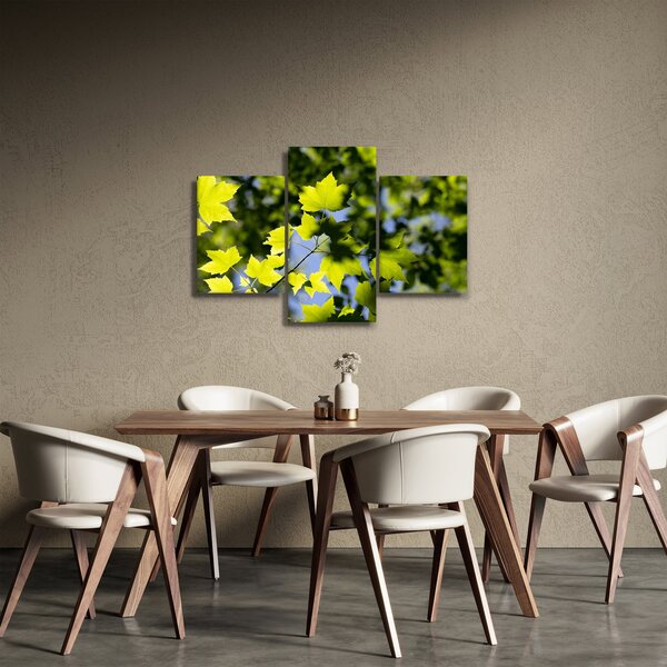 Slika - javorovo lišće (90x60 cm)