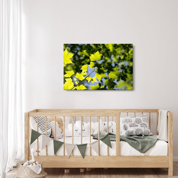 Slika - javorovo lišće (90x60 cm)