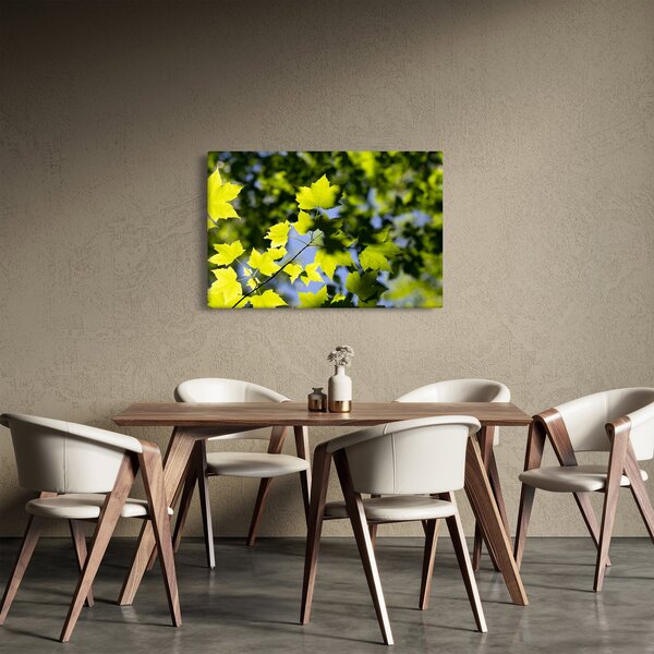 Slika - javorovo lišće (90x60 cm)