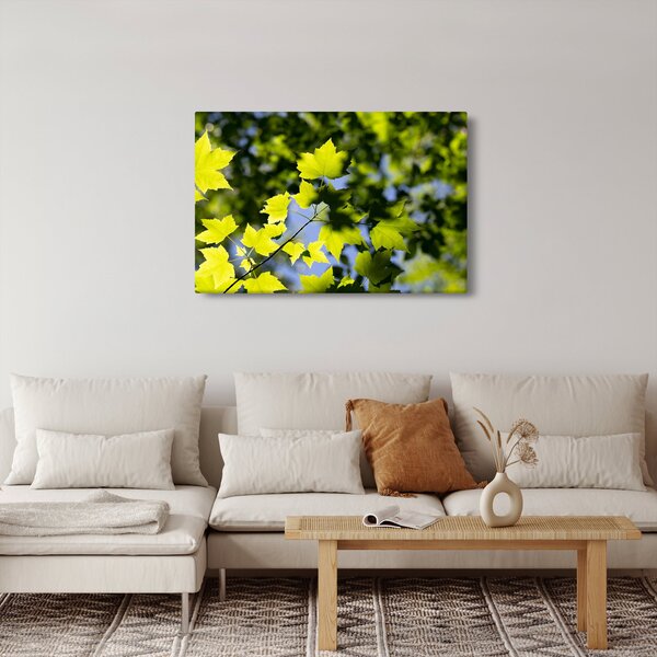 Slika - javorovo lišće (90x60 cm)