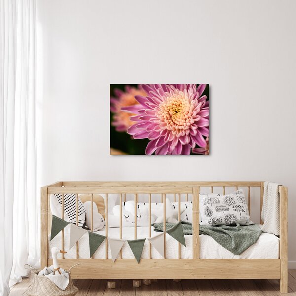 Slika cvijeta izbliza (70x50 cm)