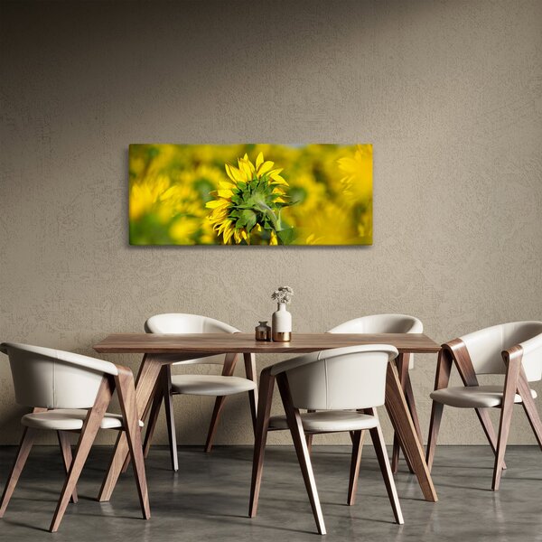 Slika suncokreta (120x50 cm)