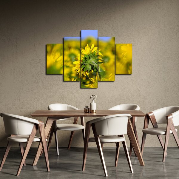 Slika suncokreta (150x105 cm)