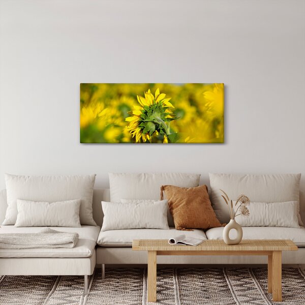 Slika suncokreta (120x50 cm)