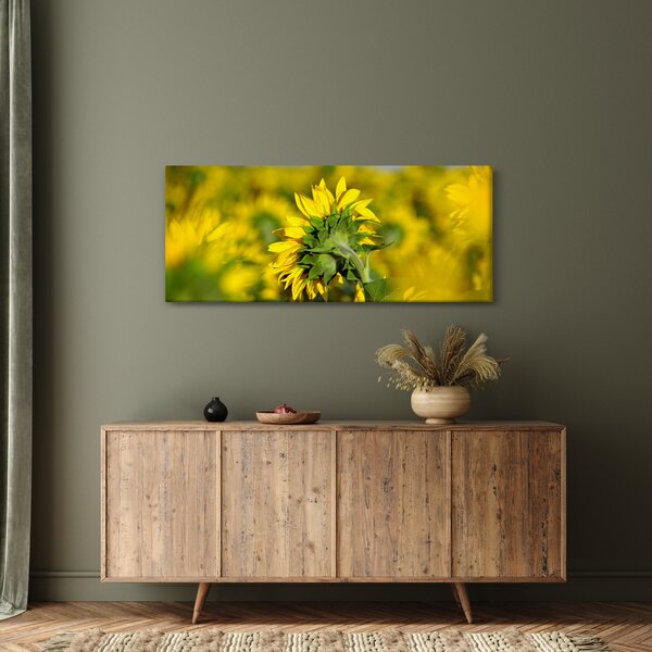 Slika suncokreta (120x50 cm)